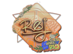 roeJ (Holo) image