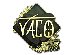 TACO (Gold) image