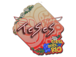 TeSeS image