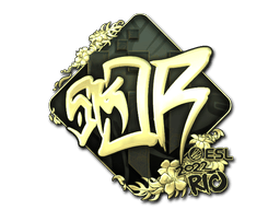 sk0R (Gold) image