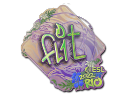 FL1T (Holo) image
