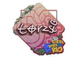 torzsi image