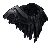 Raven Poncho image