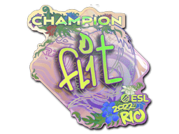 FL1T (Holo, Champion) image
