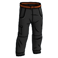 JPEG Pants image