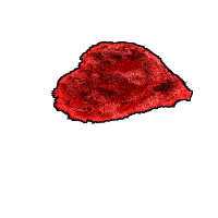 Heart Rug image