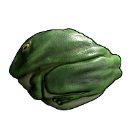 Frog Rock image