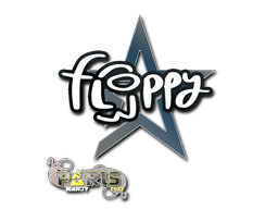 floppy image