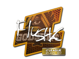 flusha image