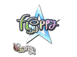floppy (Holo) image