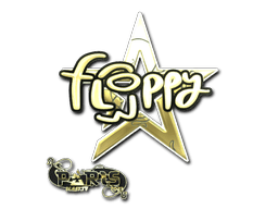 floppy (Gold) image