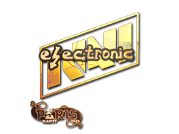 electronic (Holo) image