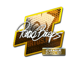 pashaBiceps (Foil) image