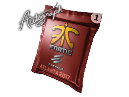Fnatic image