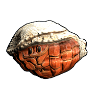 Hermit Crab Rock image