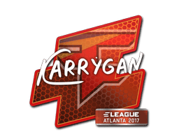 karrigan image