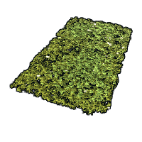Grass Rug image