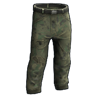 Flashbacks Pants image