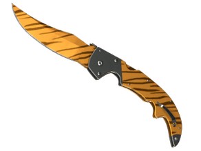Tiger Tooth image