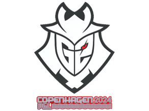 G2 Esports image