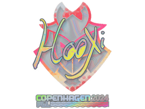 HooXi (Holo) image