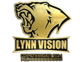 Lynn Vision (Gold) image