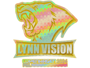 Lynn Vision (Holo) image