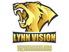 Lynn Vision image