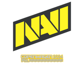 Natus Vincere image