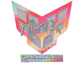 NertZ (Holo) image