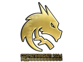 Team Spirit (Gold) image