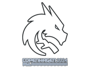 Team Spirit image