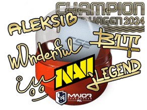 Copenhagen 2024 Champions Autograph Capsule image