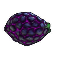 Blackberry Rock image