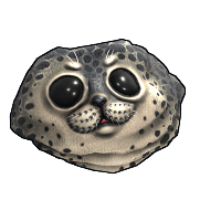 Harbor Seal Rock image