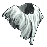 Ghost Guise Poncho image