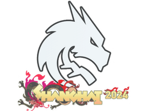 Team Spirit image