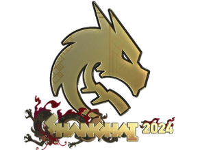 Team Spirit (Gold) image