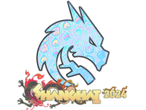 Team Spirit (Holo) image