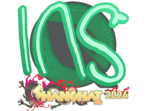 INS image
