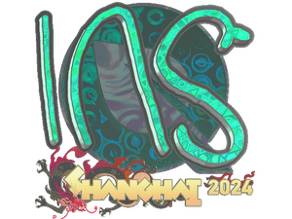 INS (Holo) image