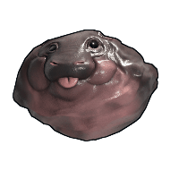 Baby Hippo Rock image