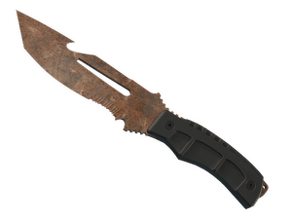 Rust Coat image