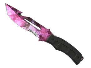 Doppler Phase 2 image