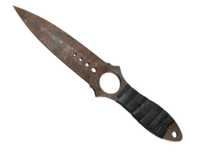 Rust Coat image