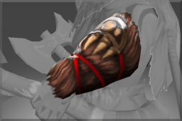 Bracers of the Wild Tamer image