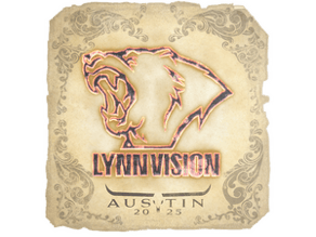 Lynn Vision image