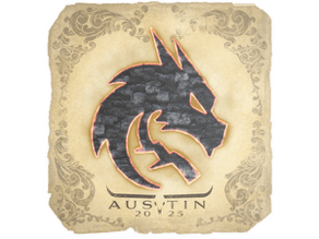 Team Spirit image