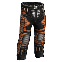 The Tiger Pants image