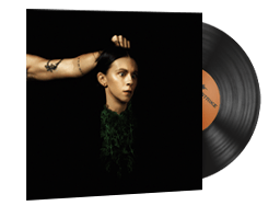 PVRIS, Evergreen image